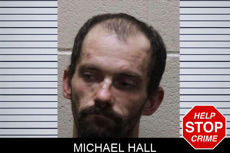 Michael Hall mugshot