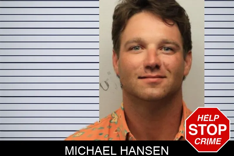 Michael Hansen mugshot