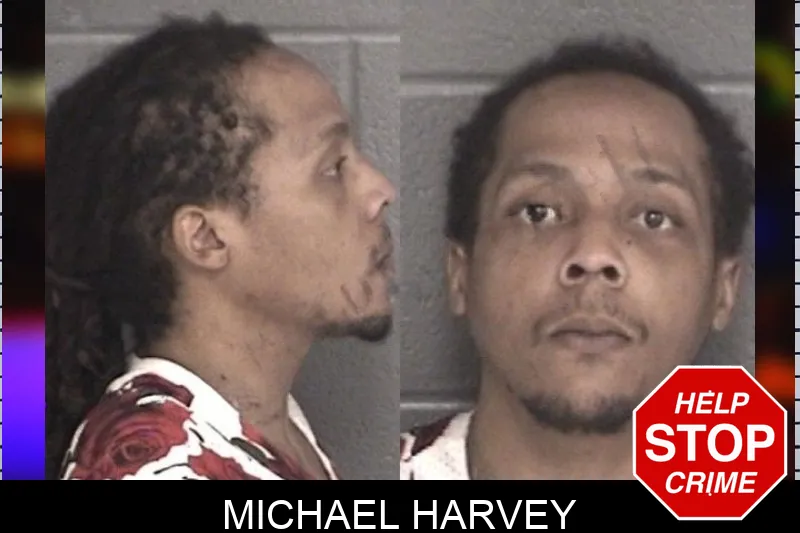 Michael Harvey mugshot