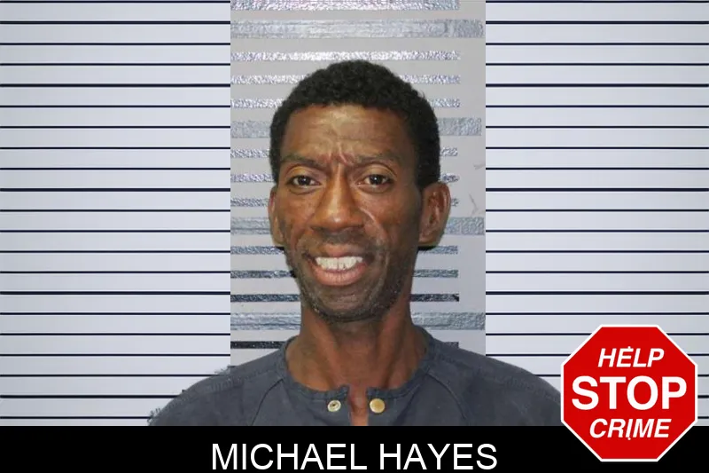 Michael Hayes mugshot