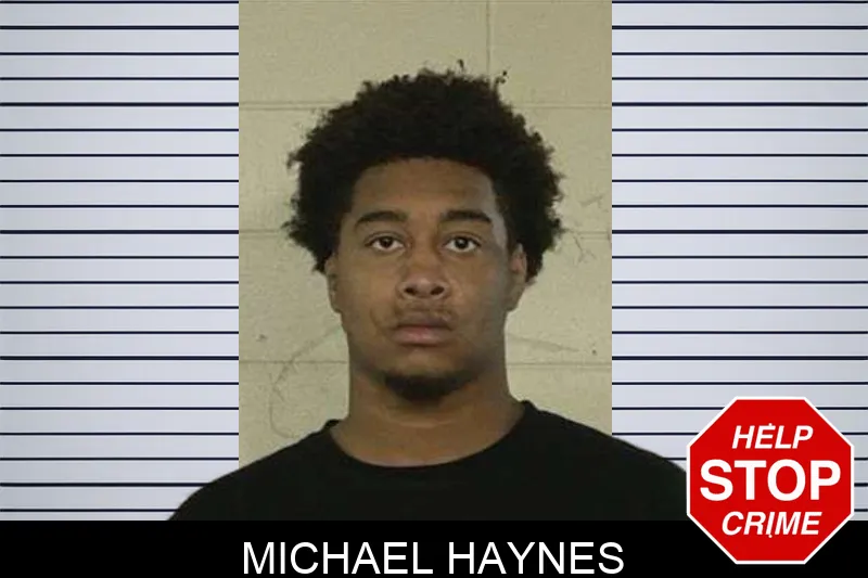 Michael Haynes mugshot