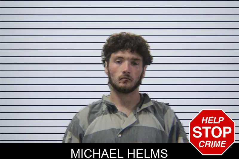 Michael Helms mugshot