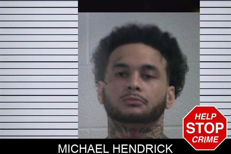 Michael Hendrick mugshot