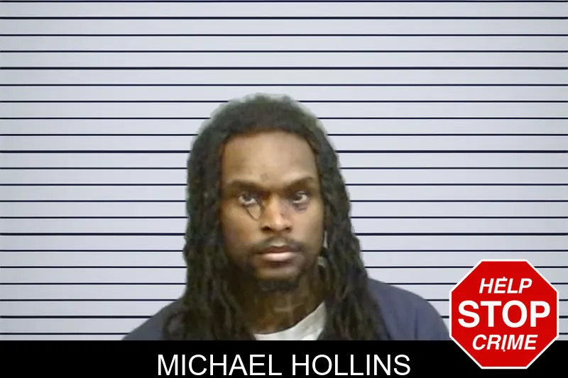 Michael Hollins mugshot