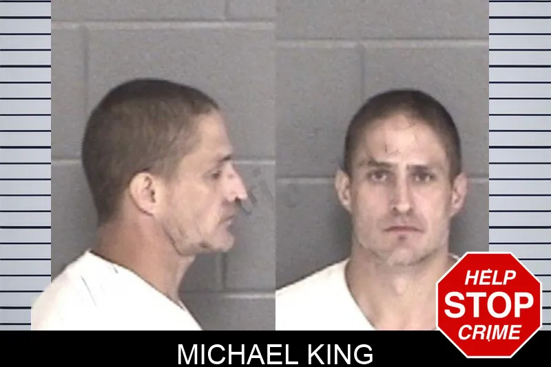 Michael King mugshot