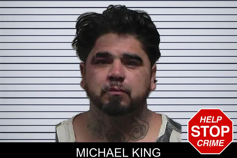 Michael King mugshot