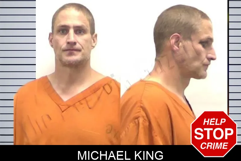 Michael King mugshot