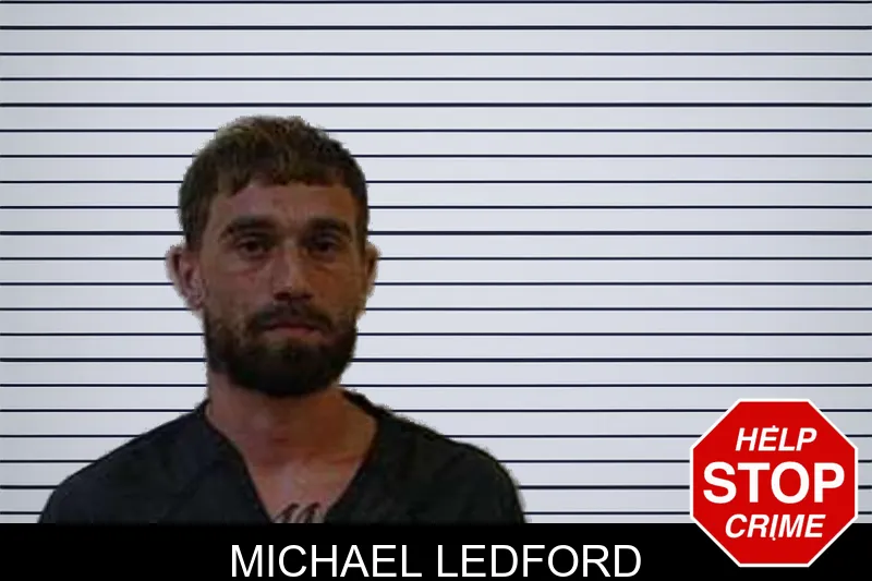 Michael Ledford mugshot