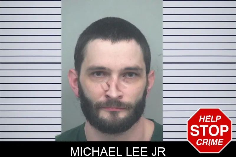 Michael Lee Jr mugshot