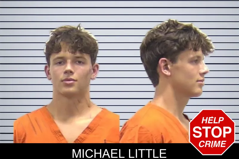Michael Little mugshot