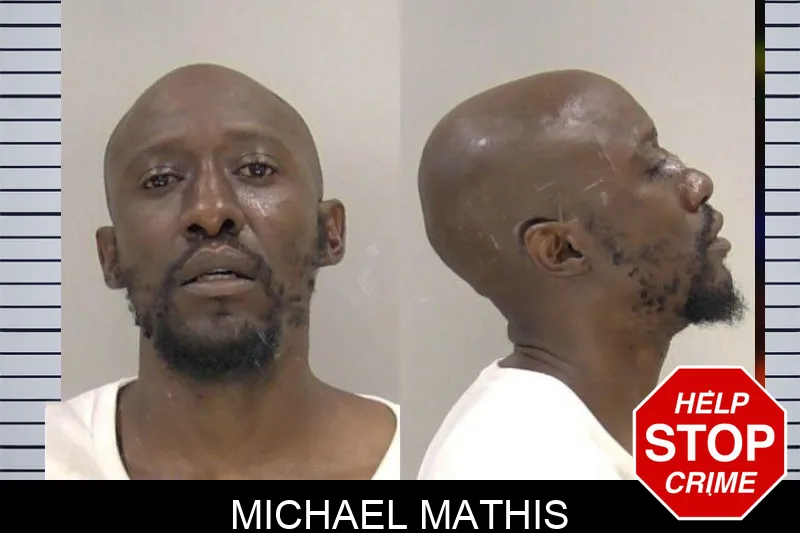 Michael Mathis mugshot