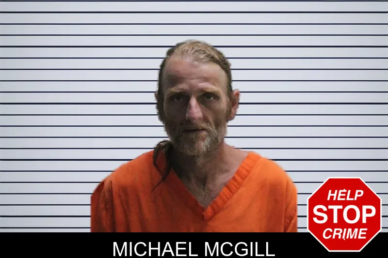 Michael McGill mugshot
