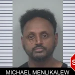 Michael Menlikalew mugshot