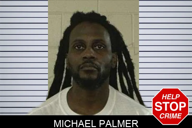 Michael Palmer mugshot