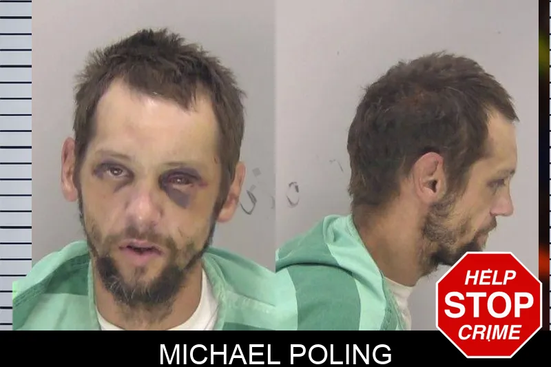 Michael Poling mugshot
