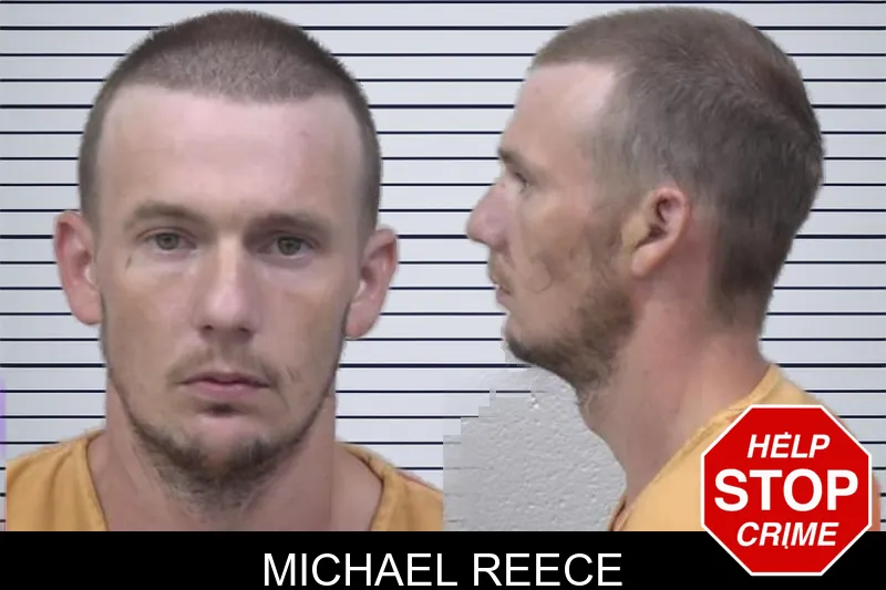 Michael Reece mugshot – Paulding County , Georgia Michael Reece mugshot