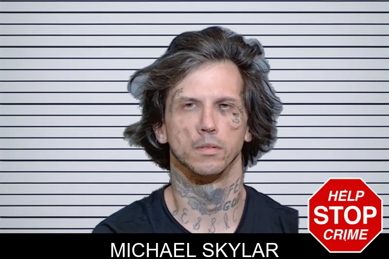 Michael Skylar mugshot