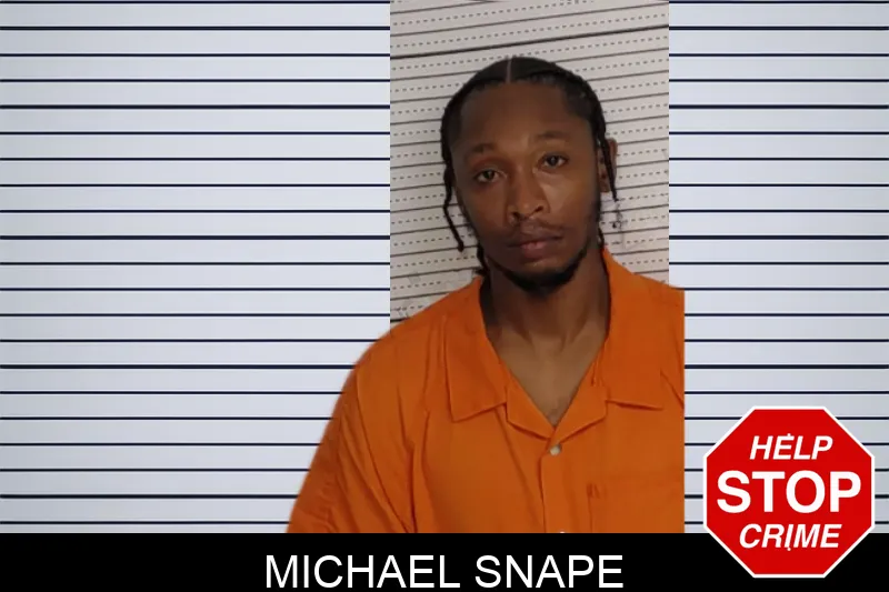 Michael Snape mugshot