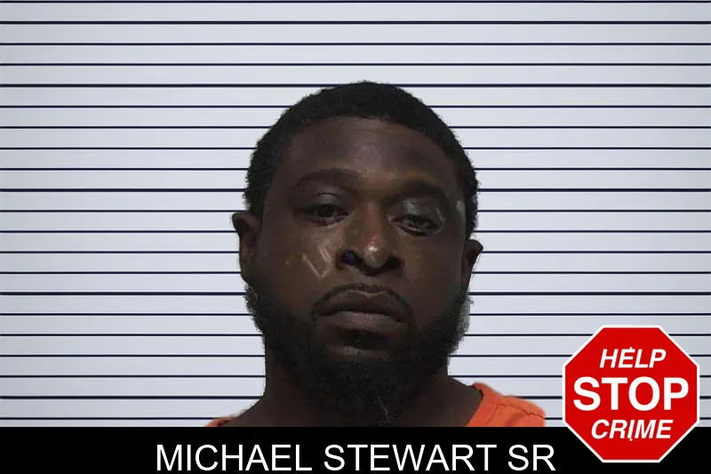 Michael Stewart Sr mugshot