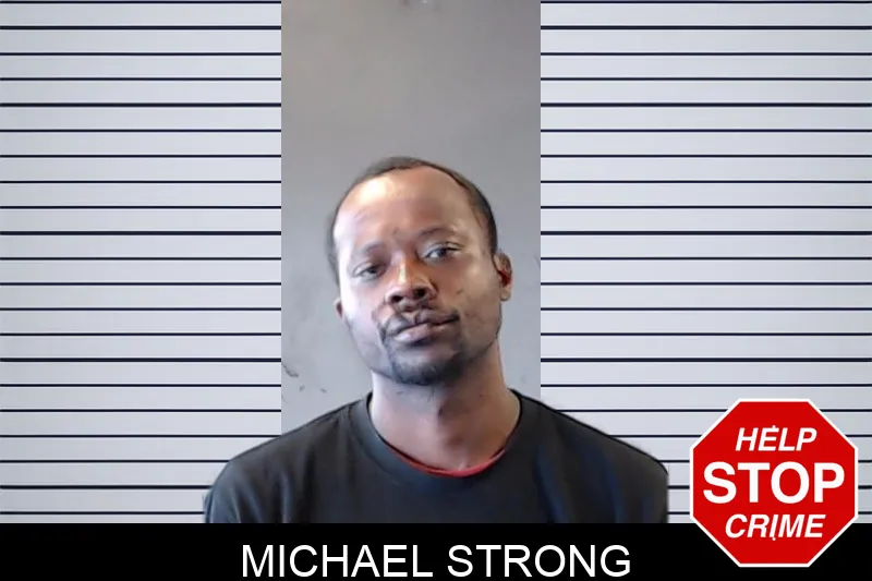 Michael Strong mugshot