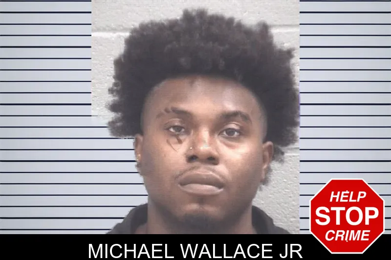 Michael Wallace Jr mugshot