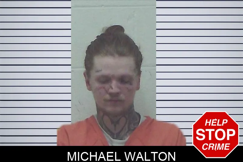 Michael Walton mugshot
