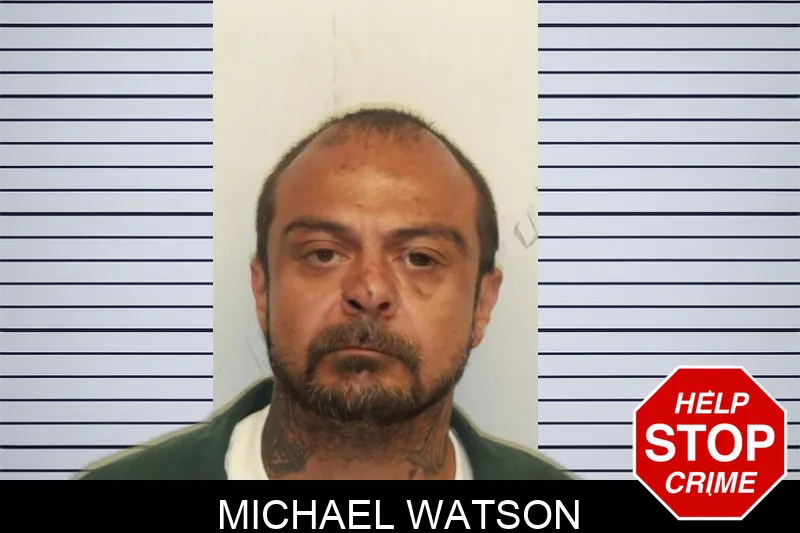 Michael Watson mugshot