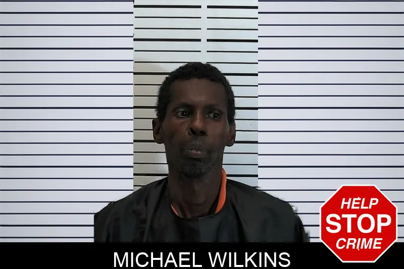 Michael Wilkins mugshot