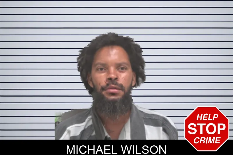 Michael Wilson mugshot