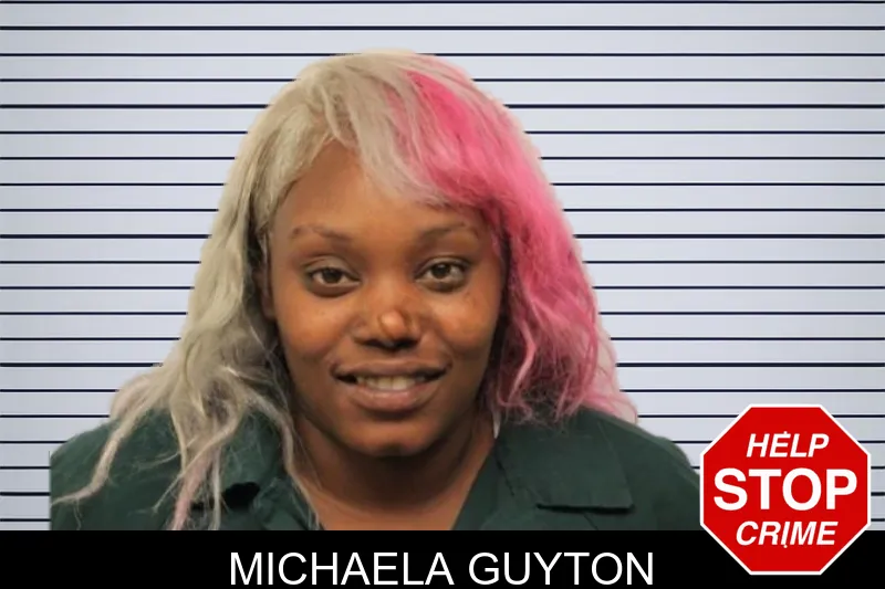 Michaela Guyton mugshot – Chatham County , Georgia Michaela Guyton mugshot