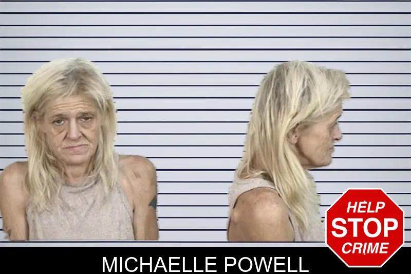 Michaelle Powell mugshot