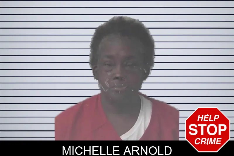 Michelle Arnold mugshot