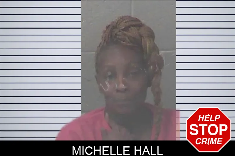 Michelle Hall mugshot