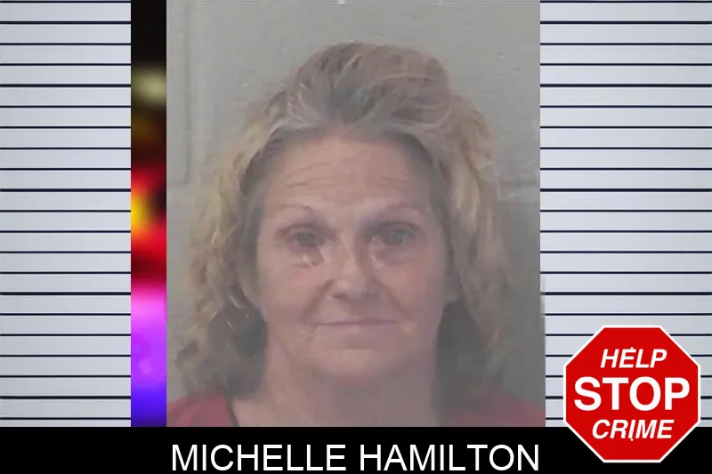 Michelle Hamilton mugshot