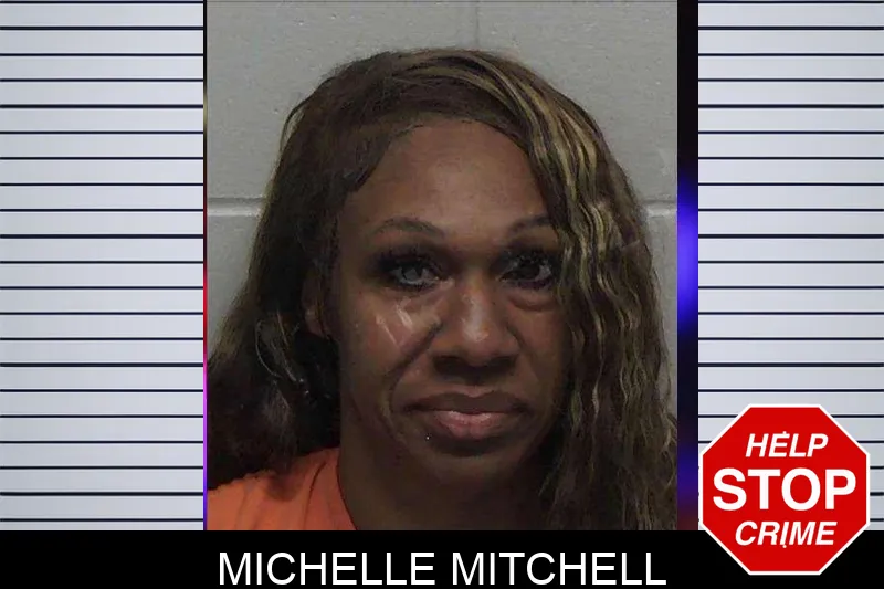 Michelle Mitchell mugshot