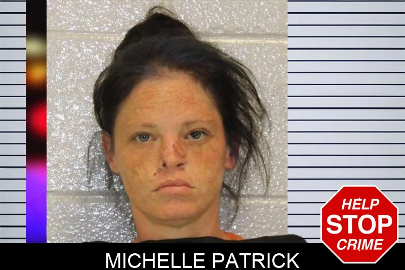 Michelle Patrick mugshot