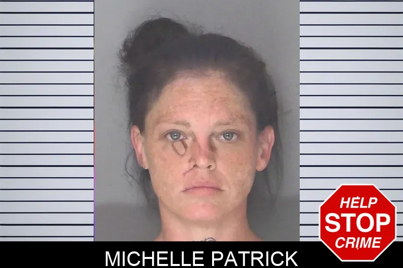 Michelle Patrick mugshot