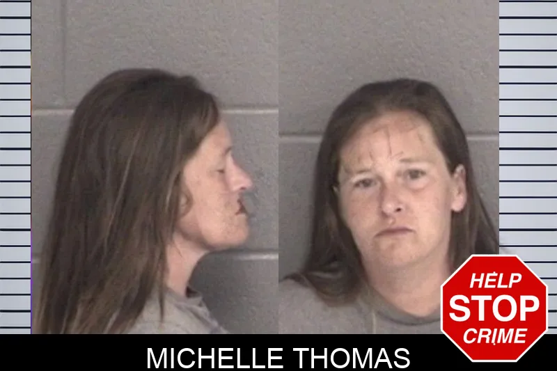 Michelle Thomas mugshot