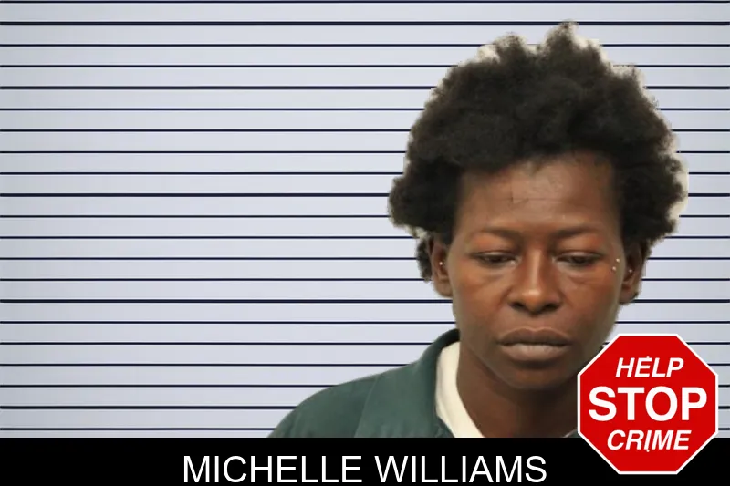 Michelle Williams mugshot