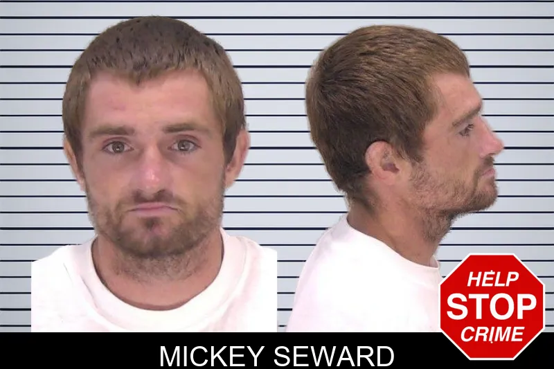 Mickey Seward mugshot