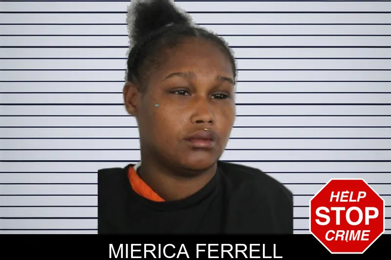Mierica Ferrell mugshot