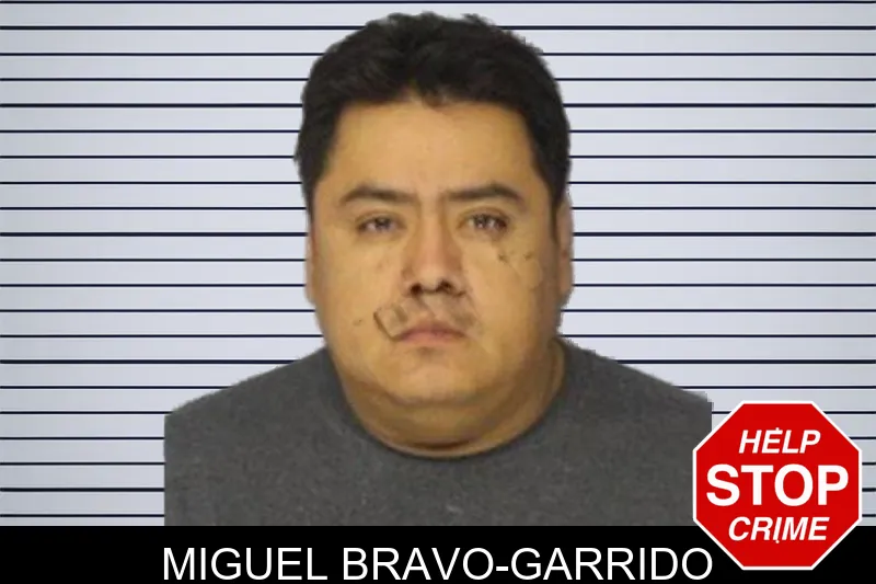 Miguel Bravo-Garrido mugshot