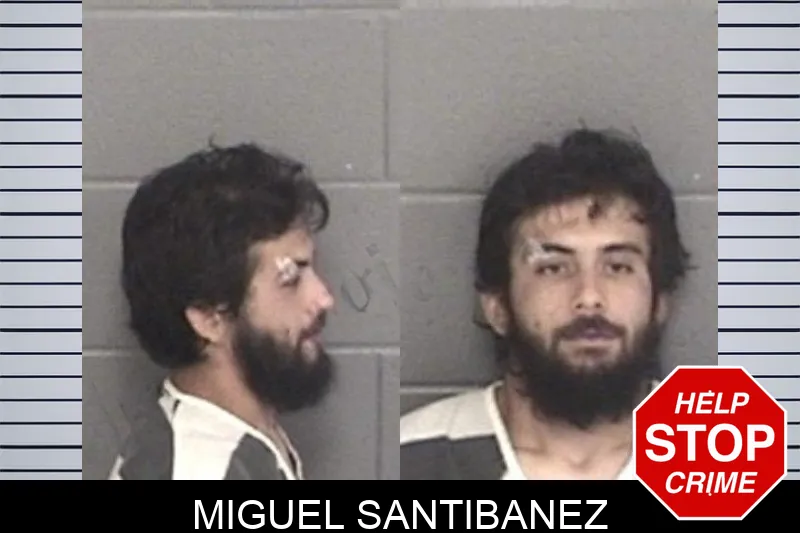Miguel Santibanez mugshot