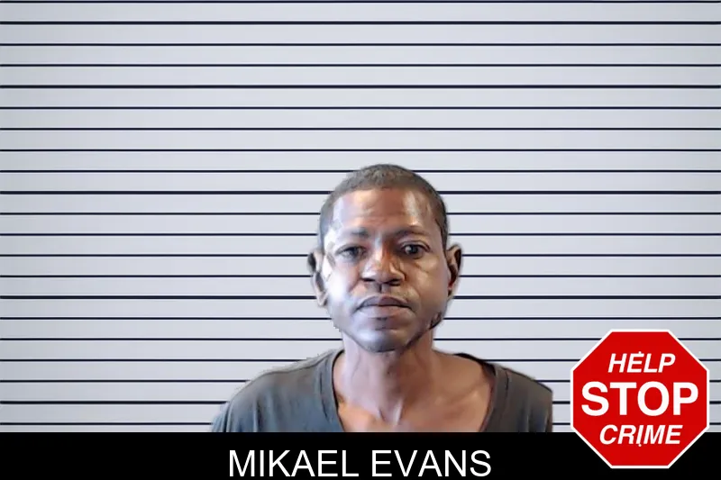 Mikael Evans mugshot