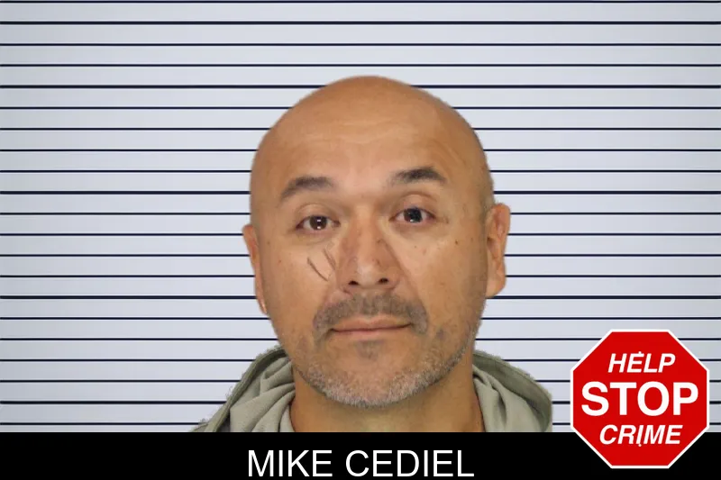 Mike Cediel mugshot