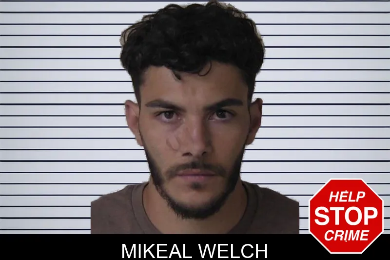 Mikeal Welch mugshot