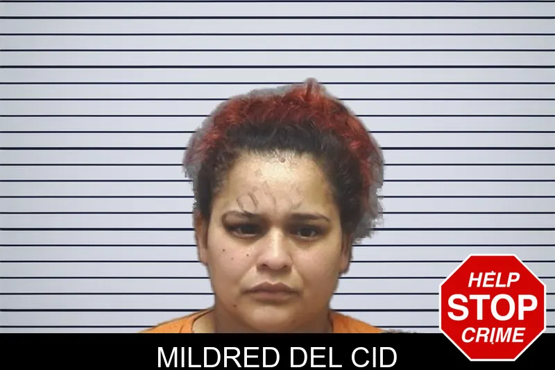 Mildred Del Cid mugshot