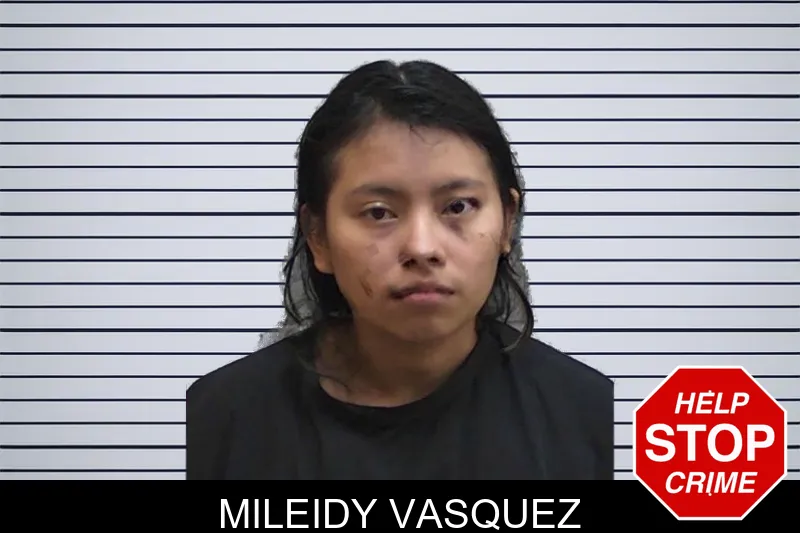 Mileidy Vasquez mugshot