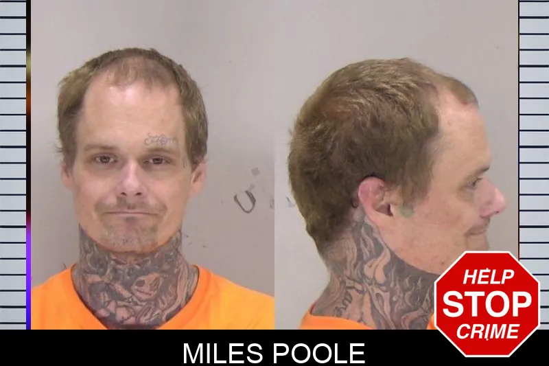 Miles Poole mugshot