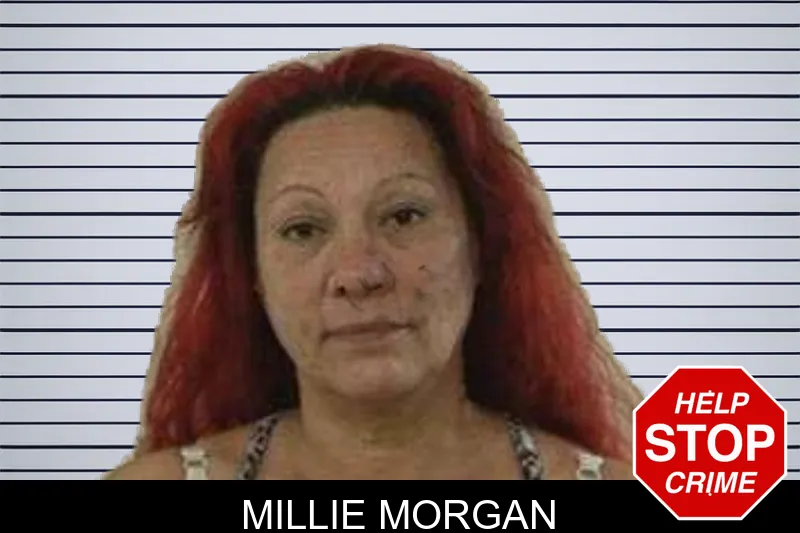 Millie Morgan mugshot